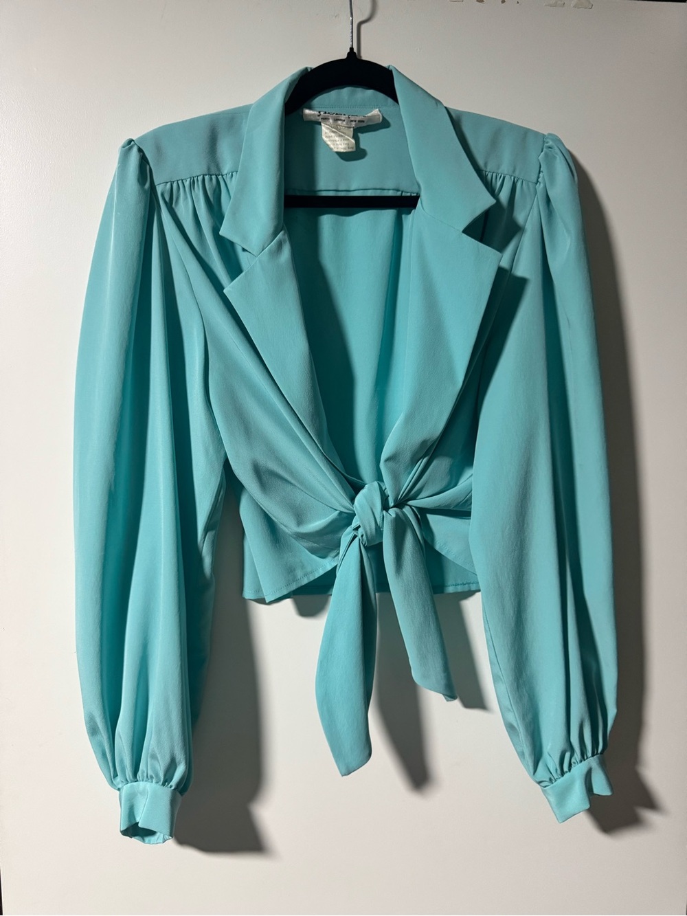 Tie-Front Long Sleeve Crop Top in Aqua